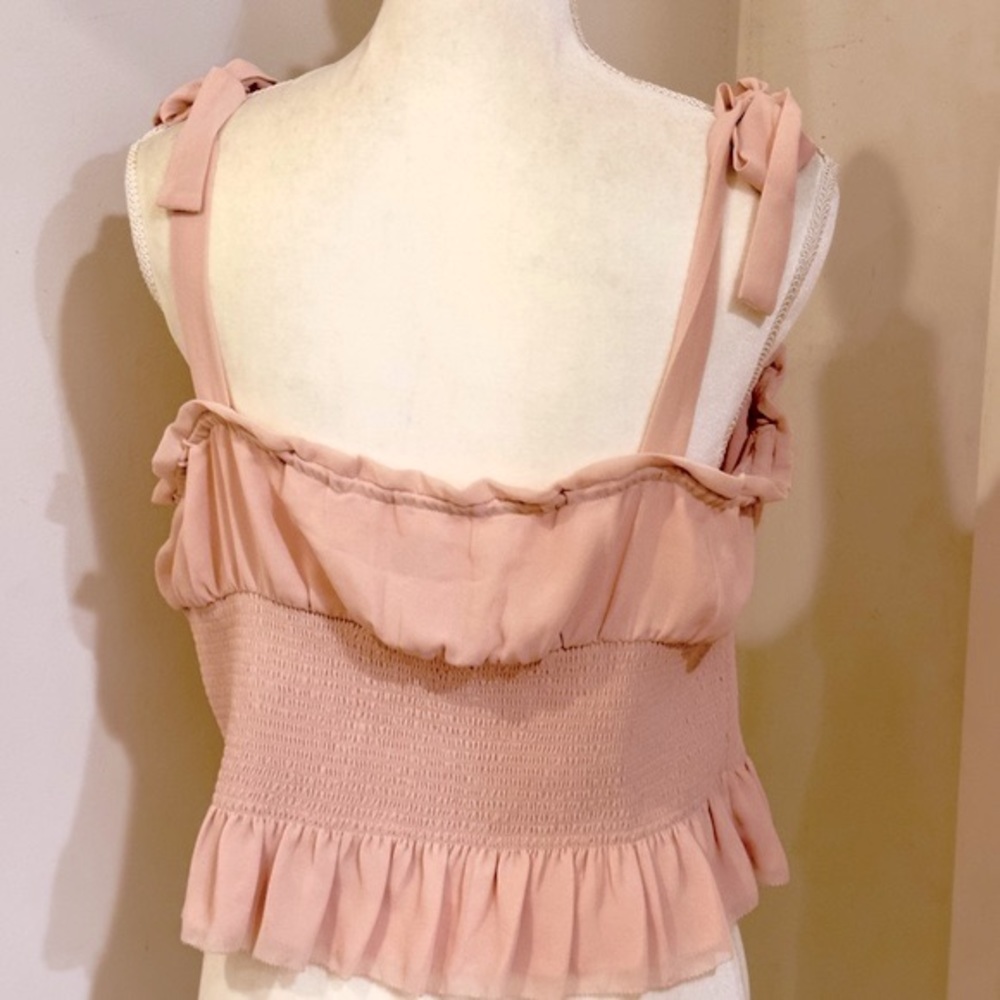 Aritzia Wilfred Ballad Camisole - Coral Blush - Picture 3 of 11